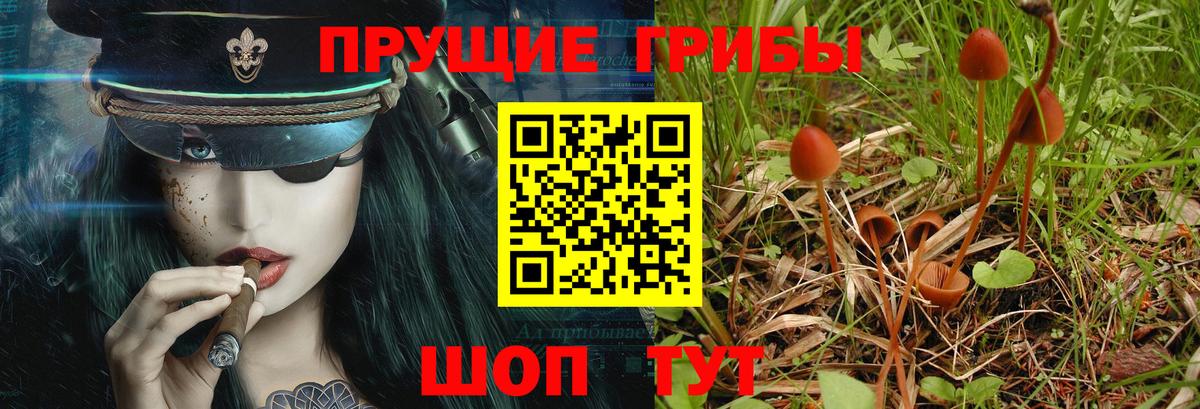 Галлюциногенные грибы MAGIC MUSHROOMS  Вход с VPN  Железноводск  Галлюциногенные грибы прущие грибы 
